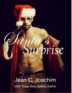 Cover of Santa's Surprise