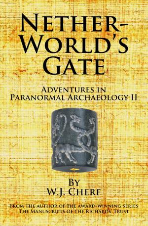 Book cover of Netherworld's Gate
