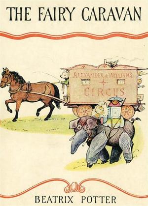 Cover of Fairy Caravan
