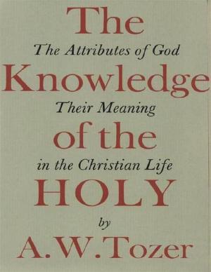 Cover of the book The Knowledge of the Holy by E. E. 