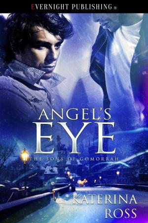 Cover of the book Angel's Eye by Angelique Voisen