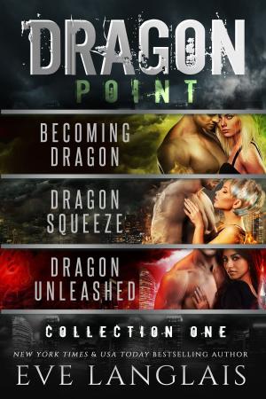 Cover of the book Dragon Point: Collection One by L.R. Xavier