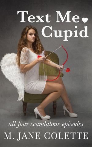 Book cover of Text Me, Cupid