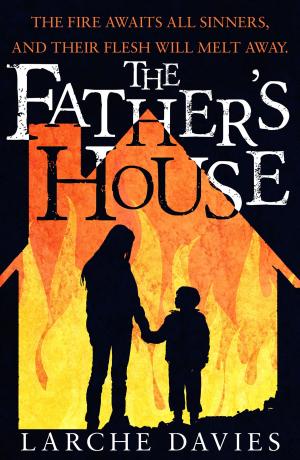 Cover of the book The Father's House by Chris Dunning