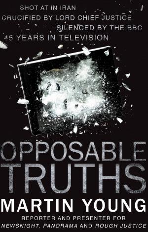 Cover of the book Opposable Truths by Stefan Magi Fionnljh
