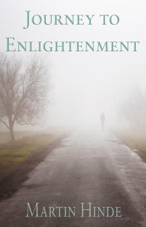 bigCover of the book Journey to Enlightenment by 