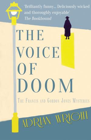 Cover of the book The Voice of Doom by David Macmillan