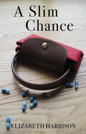 Book cover of A Slim Chance