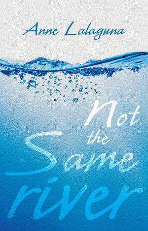 Cover of the book Not the Same River by Jay K. Price