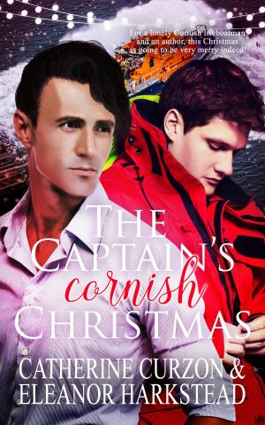 Cover of the book The Captain's Cornish Christmas by Victoria Blisse