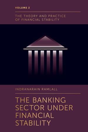 Cover of the book The Banking Sector Under Financial Stability by Lynn Revell, Hazel Bryan