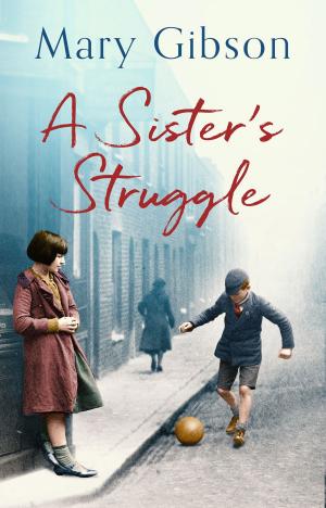 Cover of the book A Sister's Struggle by Denzil Meyrick