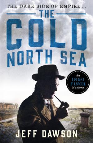 Book cover of The Cold North Sea
