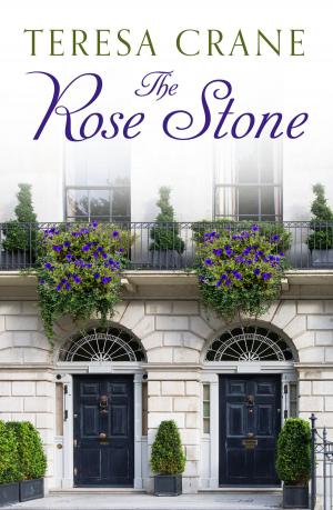 Book cover of The Rose Stone