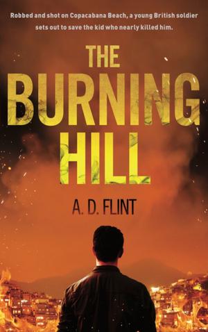Cover of the book The Burning Hill by Paul Bassett Davies