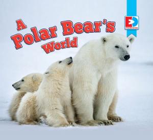 Cover of the book A Polar Bear's World by Billy Garrett