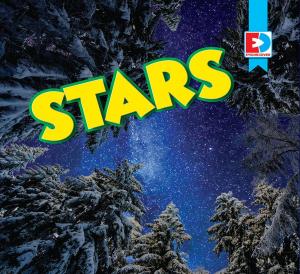 Cover of the book Stars by Ann Malaspina