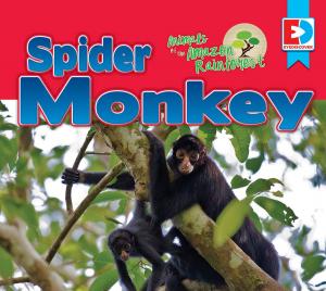 Cover of the book Animals of the Amazon Rainforest: Spider Monkey by Felicia Sanzari Chernesky