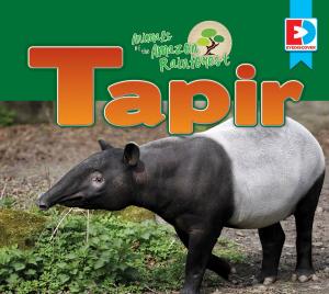 Cover of Animals of the Amazon Rainforest: Tapir