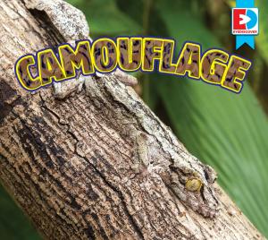 Cover of the book Camouflage by Will Hubbell