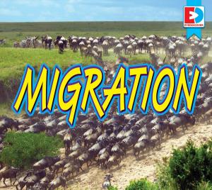 Cover of the book Migration by Katie Gillespie and John Willis