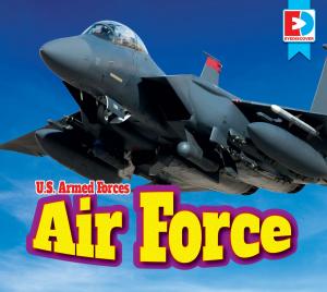 Cover of the book Air Force by Renae Gilles and Warren Rylands