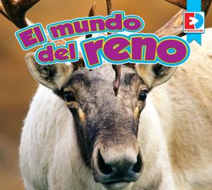 Cover of the book El mundo del reno by Katie Gillespie and John Willis