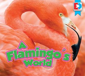 Cover of the book A Flamingo's World by Felicia Sanzari Chernesky