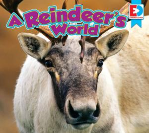 Cover of the book A Reindeer's World by Katie Gillespie