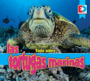 Cover of the book Todo sobre las tortugas marinas by Will Hubbell