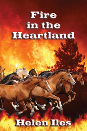 Cover of the book Fire in the Heartland by Madina Del Terra Solicino