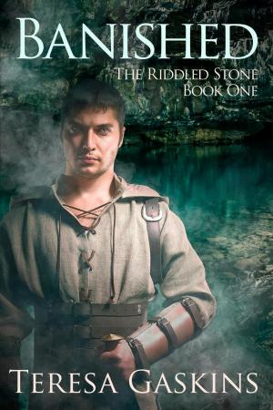 Cover of the book Banished by Connie A. Walker