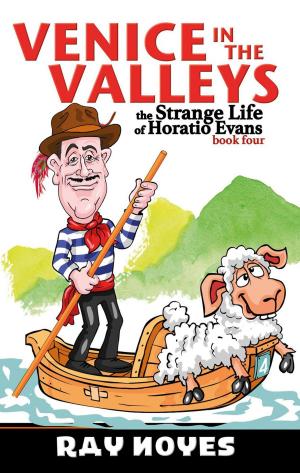 Cover of the book Venice in the Valleys by JAMES MORGAN-JONES