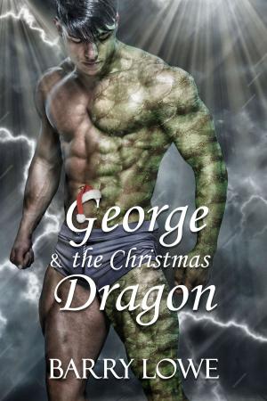 Cover of the book George & the Christmas Dragon by Barry Lowe