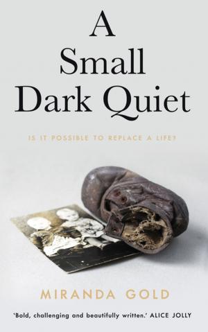 Cover of the book A Small Dark Quiet by K.E. Saxon