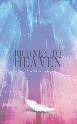 Cover of the book Journey to Heaven by Tony Dunsbee