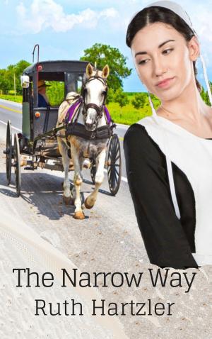 bigCover of the book The Narrow Way by 