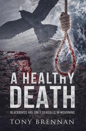 Cover of the book A Healthy Death by P. Stephen O’Leary