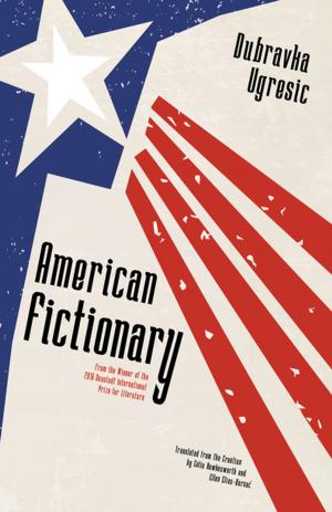 Cover of the book American Fictionary by Antoine Volodine