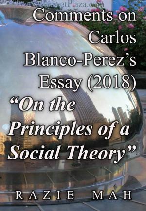 Book cover of Comments on Carlos Blanco-Perez's Essay (2018) "On the Principles of a Social Theory"