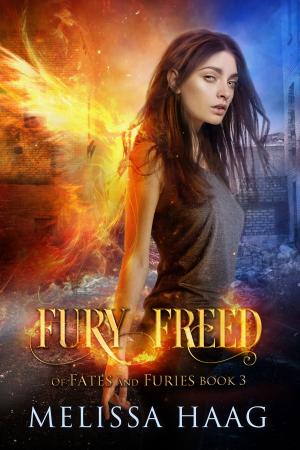 Cover of the book Fury Freed by Melissa Haag