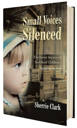 Cover of the book SMALL VOICES SILENCED by Antoinette Ratliff