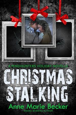Cover of Christmas Stalking