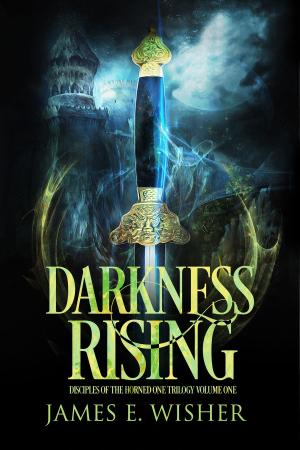 Cover of the book Darkness Rising by Martha Wells