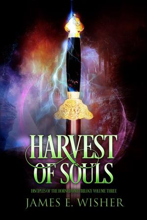 Cover of the book Harvest of Souls by Marti Gruter