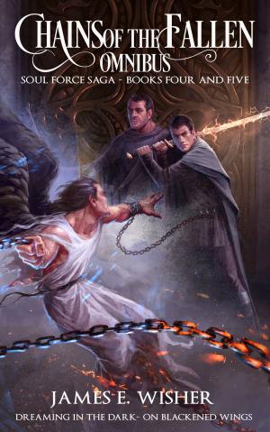 bigCover of the book Chains of the Fallen Omnibus by 