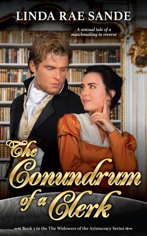 Cover of the book The Conundrum of a Clerk by Linda Rae Sande