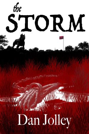 Cover of the book The Storm by Jacob Floyd, Jenny Floyd
