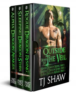 Cover of the book Outside the Veil Boxed Set (Books 1-3) by C. K. Kelly Martin