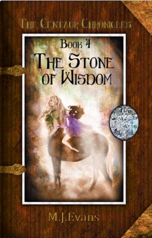 Cover of the book The Stone of Wisdom by Ann Crawford